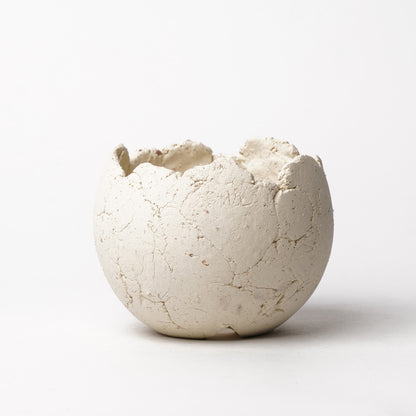 Shota Miyashita Plant Pot