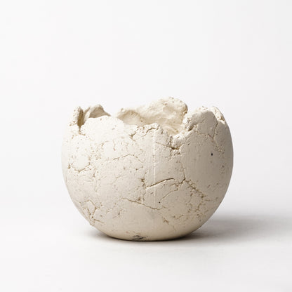 Shota Miyashita Plant Pot