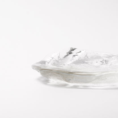 Daisaku Hashimura Glass Plate