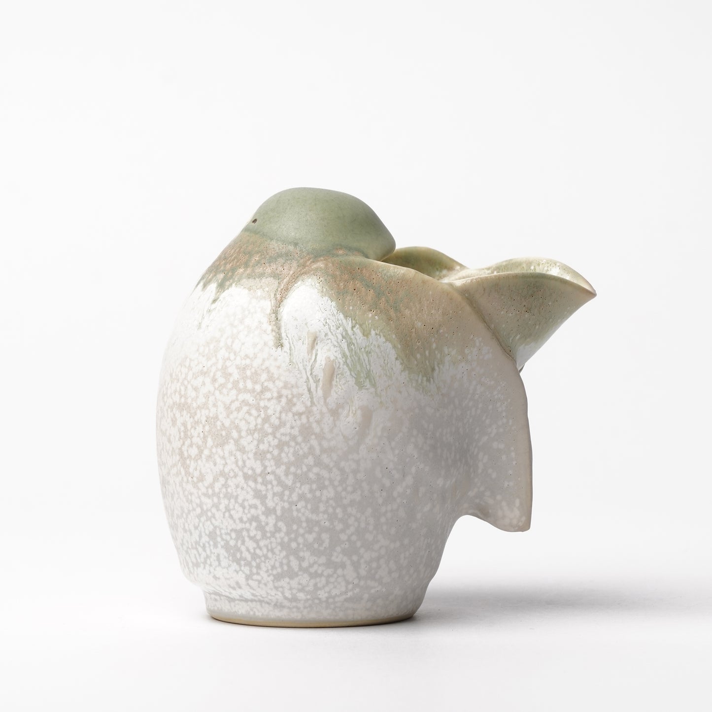 Miki Furuhata Bird Katakuchi Server