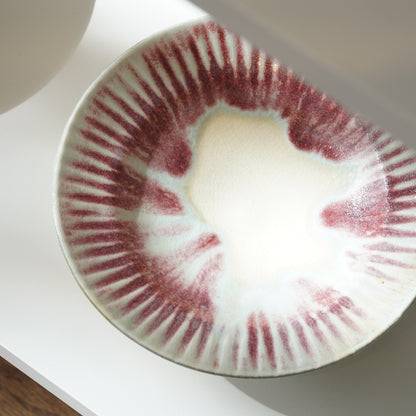 Nobuhito Nakaoka Colored Ash Glaze Large Plate Red