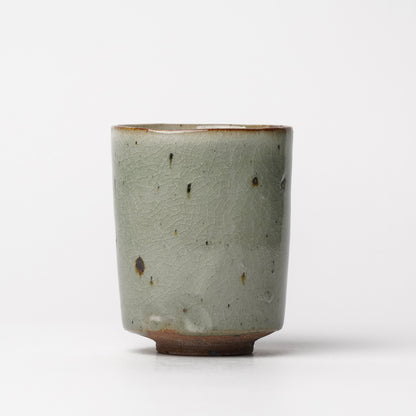 Takeryo Kawaguchi Yunomi Tea Cup Ash Glaze