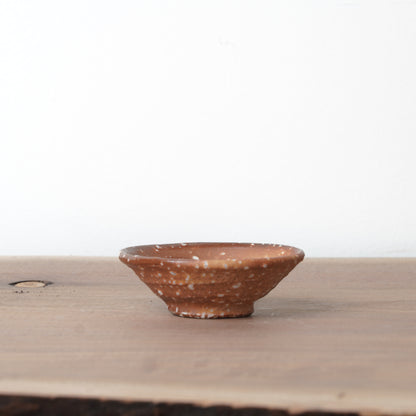 Shigarakiyaki Choko Sakecup Teacup Woodfired