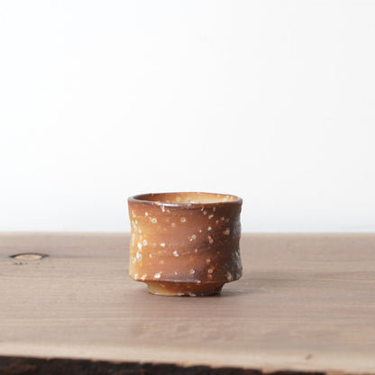 Shigarakiyaki Choko Sakecup Teacup Woodfired