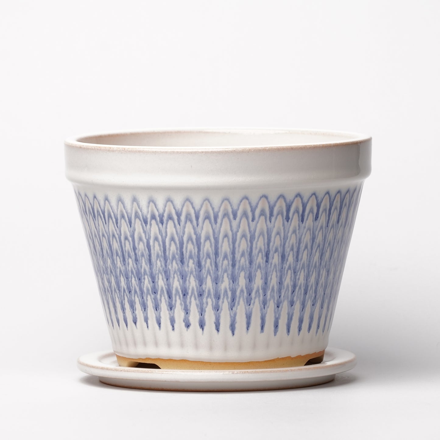 NOTA & Design Peacock Pot Planter with Saucer M White Blue