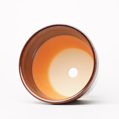 NOTA & Design Peacock Pot Planter with Saucer M Brown