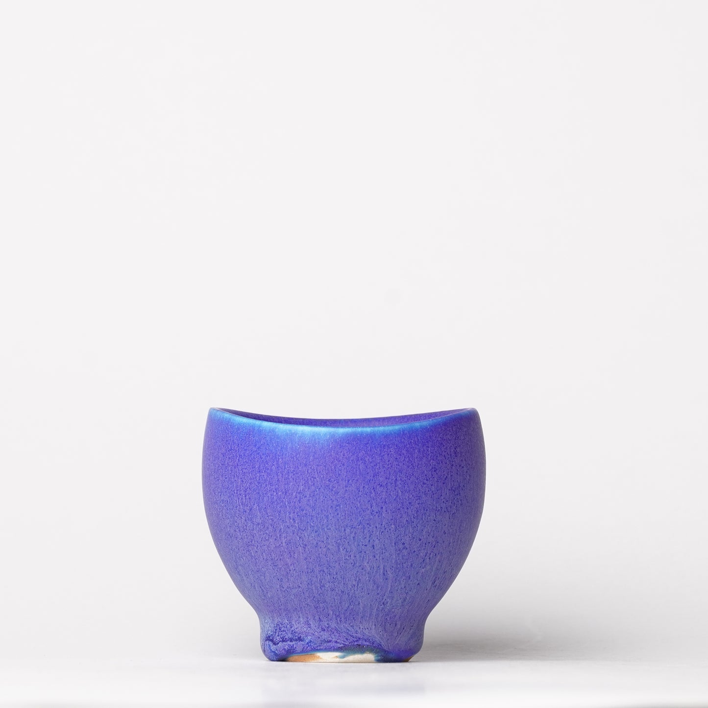 Nobuyuki Hagiwara Sake Tea Cup