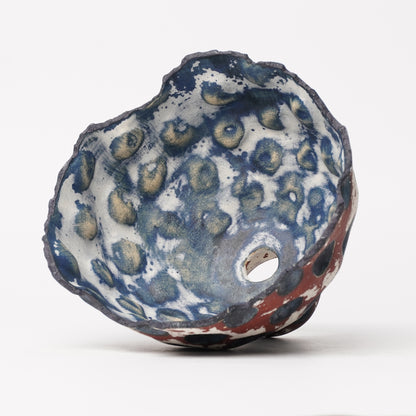 Nobuko Konno planter
