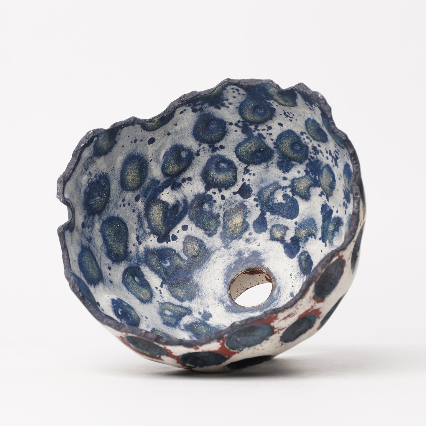 Nobuko Konno planter