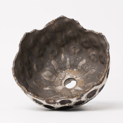 Nobuko Konno planter