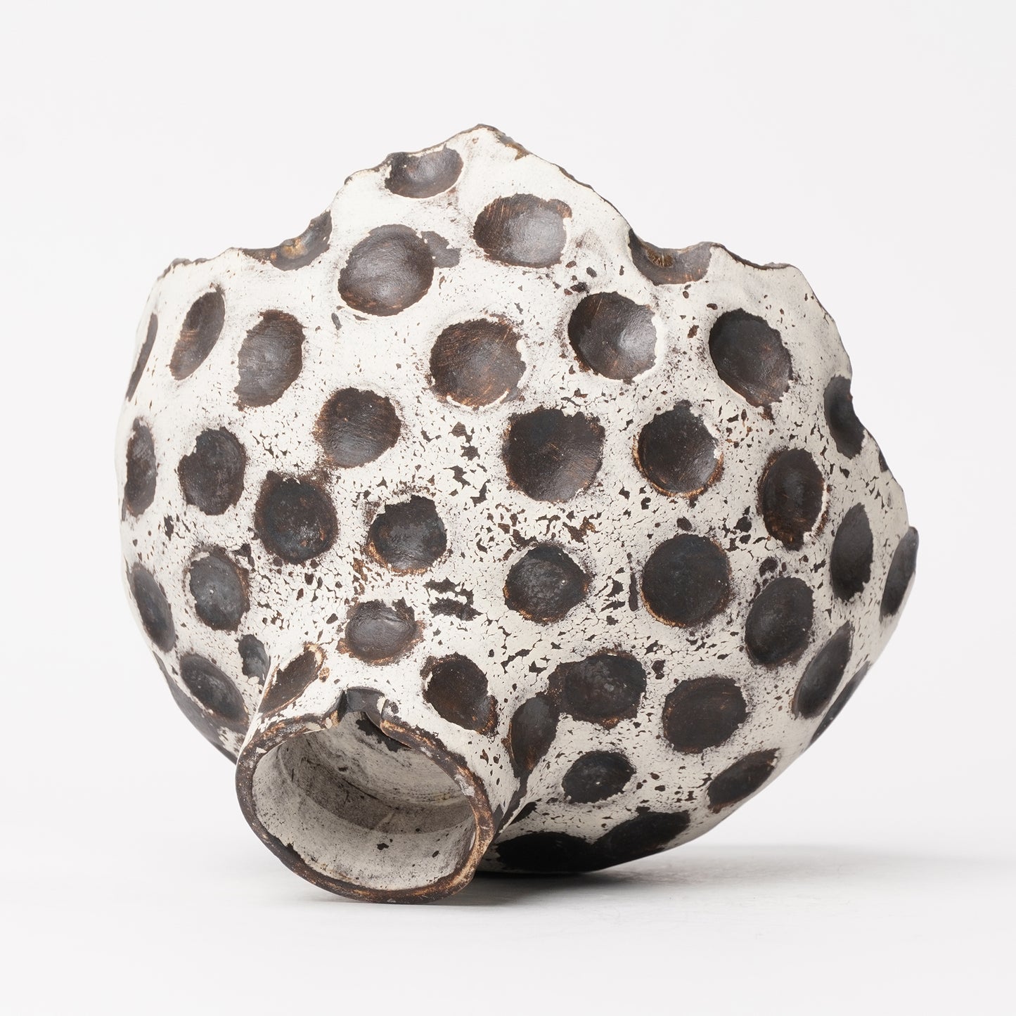 Nobuko Konno planter