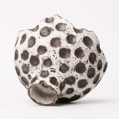 Nobuko Konno planter