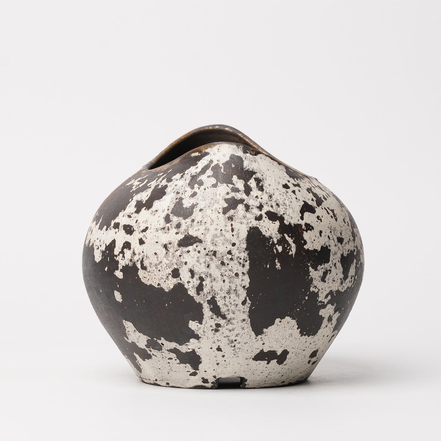 Nobuko Konno planter