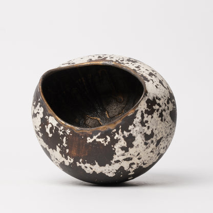 Nobuko Konno planter