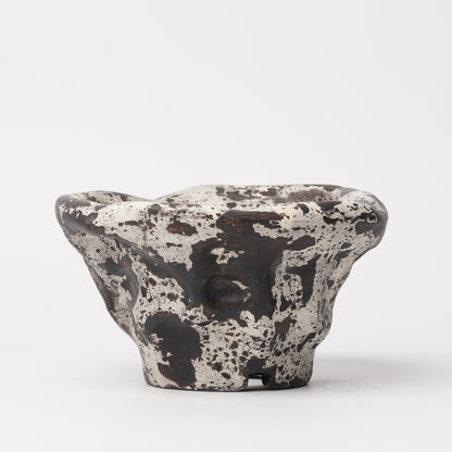 Nobuko Konno planter