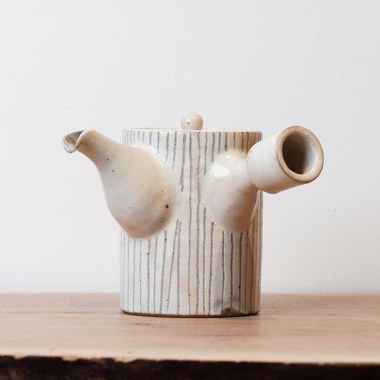 Toshinobu Araya Ryukakugama Kohiki Tea Pot