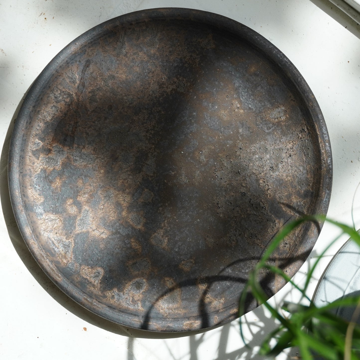 Toru Kikuchi Dinner Plate