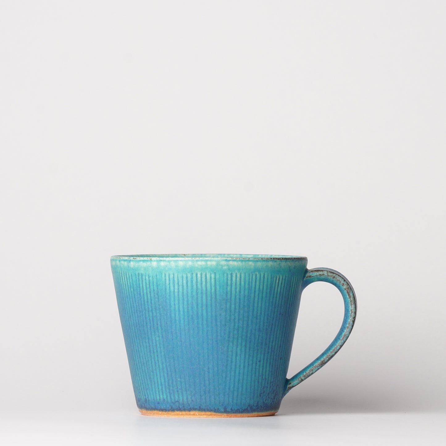 Shigarakiyaki Mug