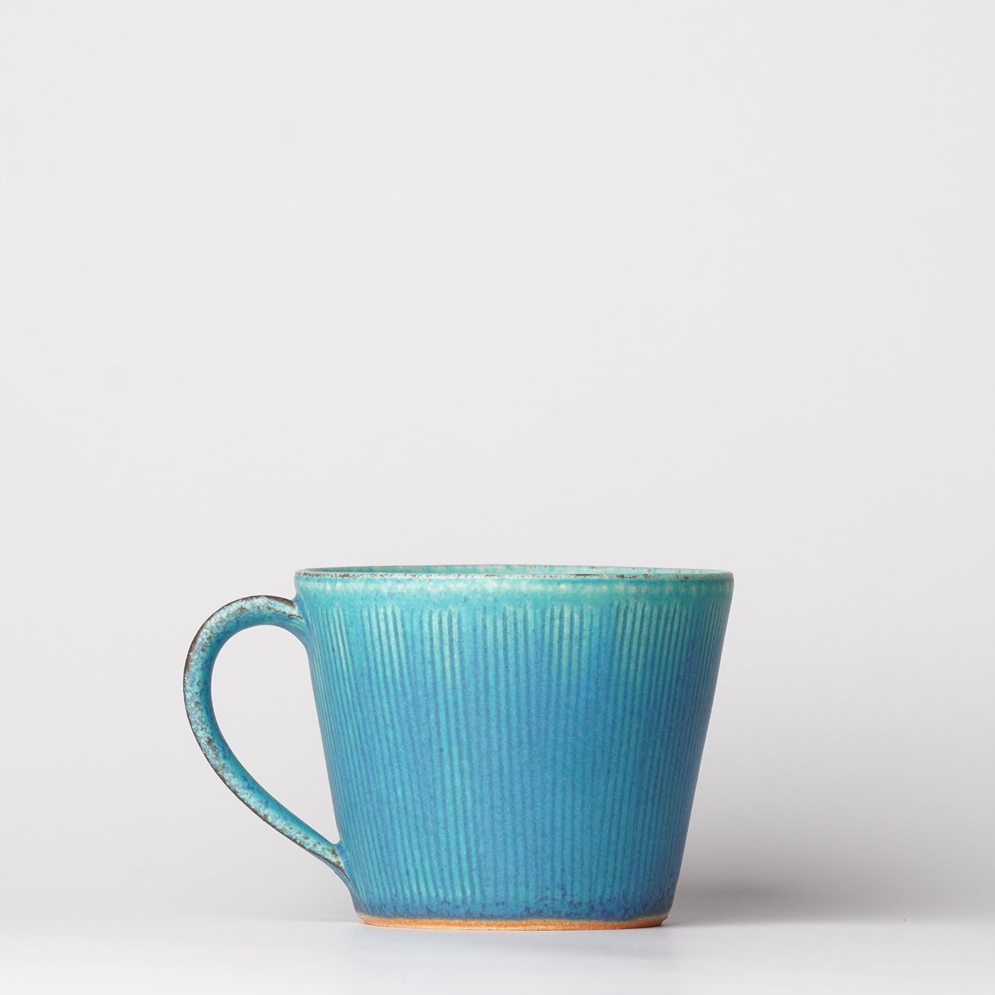 Shigarakiyaki Mug