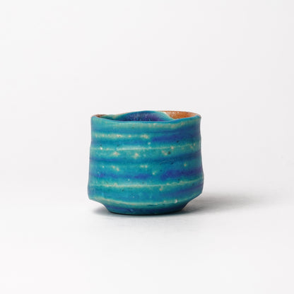 Nobuyuki Hagiwara Guinomi Sake Cup