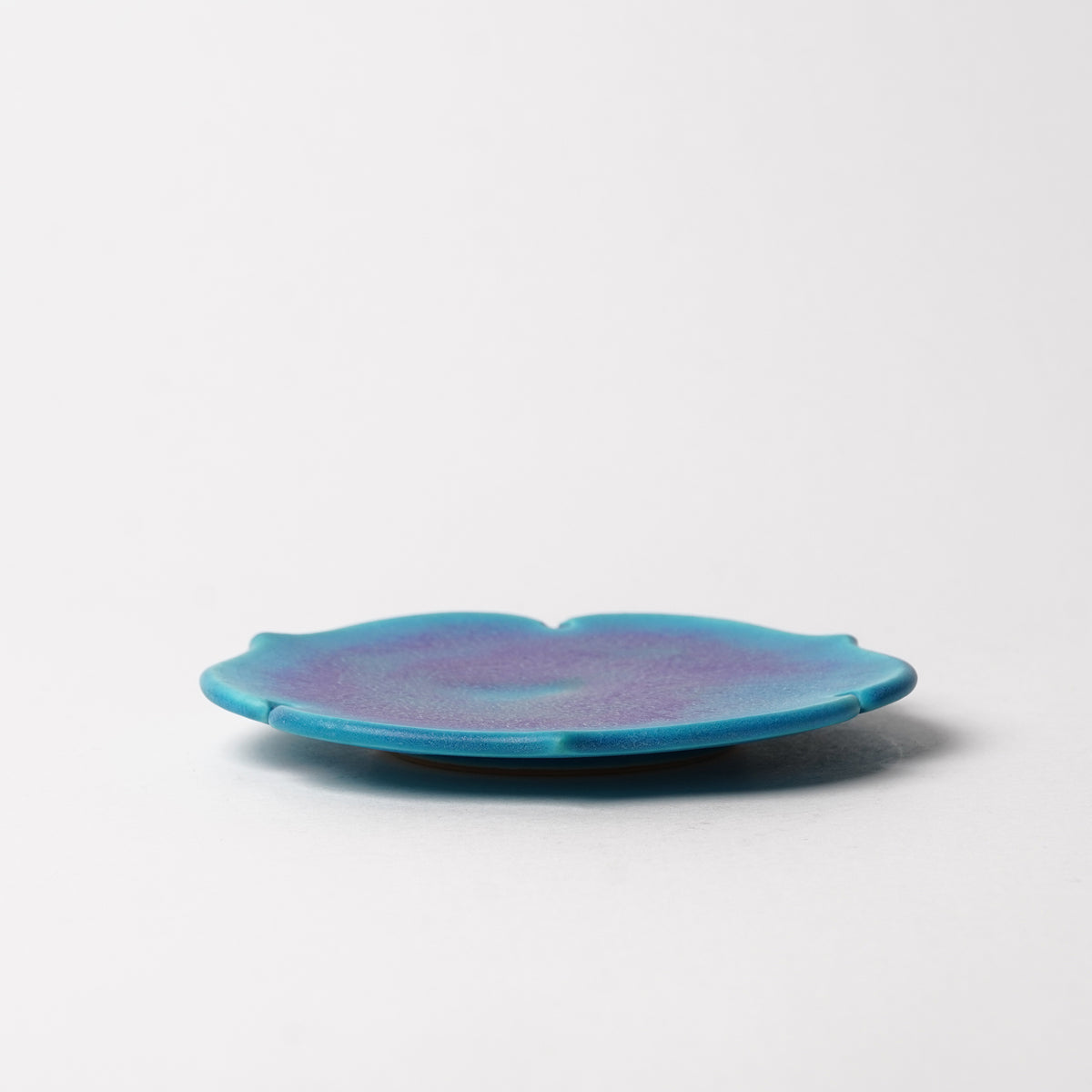 Nobuyuki Hagiwara Dai Plate