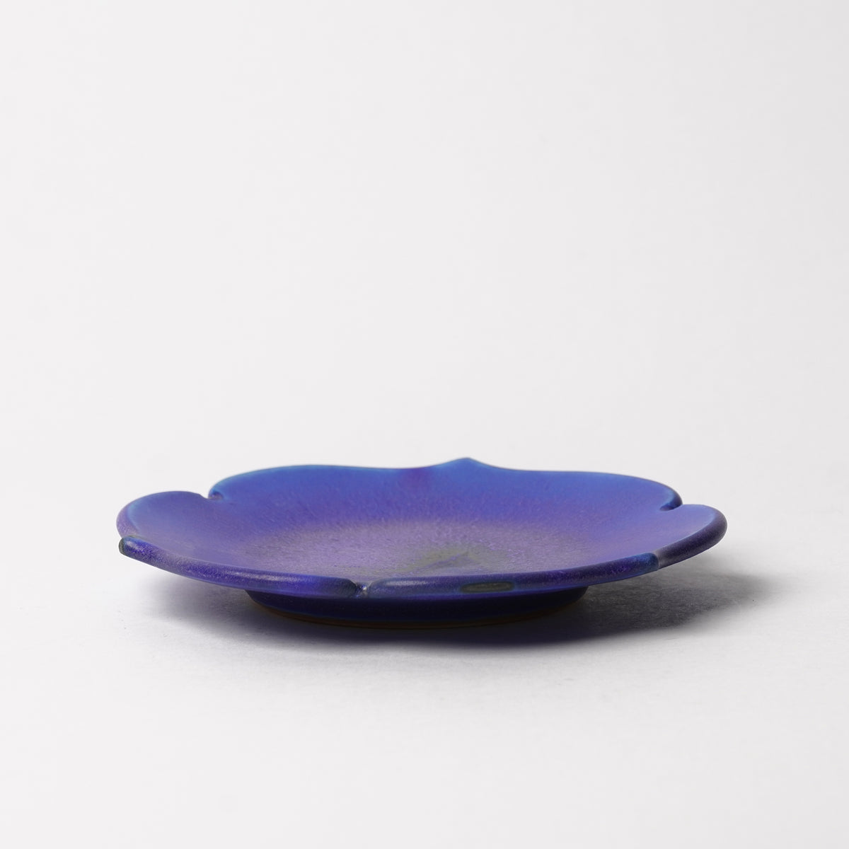 Nobuyuki Hagiwara Dai Plate