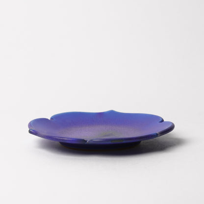 Nobuyuki Hagiwara Dai Plate