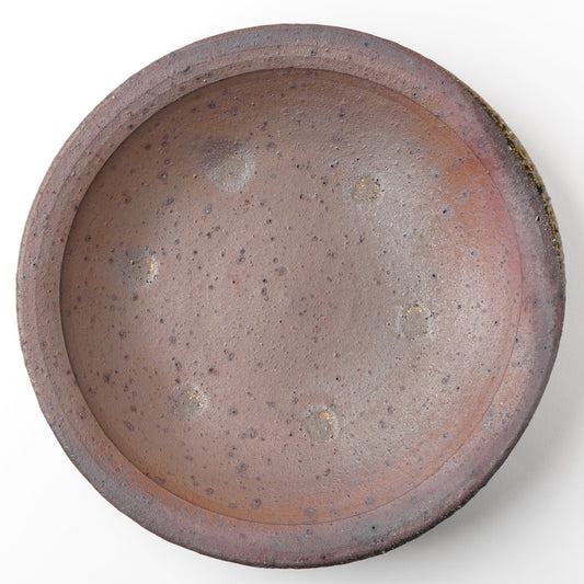 Shikamaru Takeshita Large Dinner Plate Nanban Yakishime Wood Fired