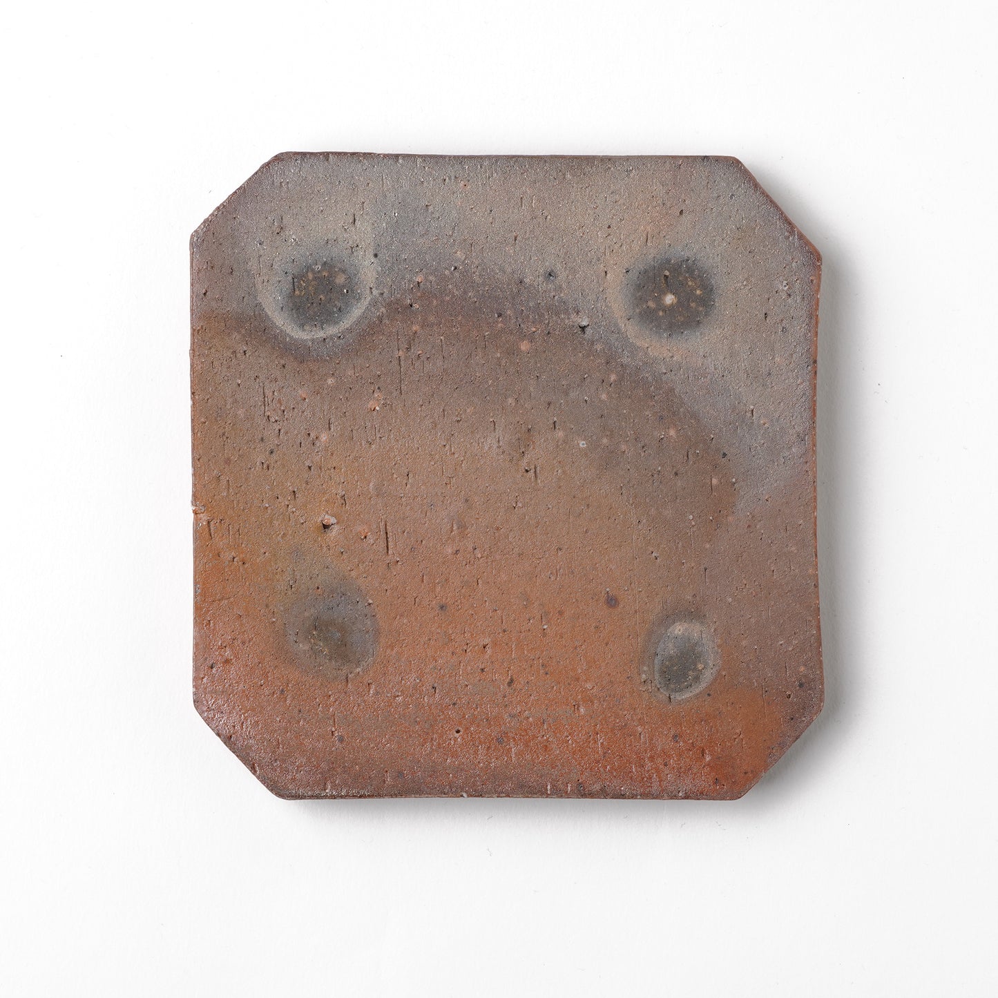 Shikamaru Takeshita Plate Nanban Yakishime Wood Fired