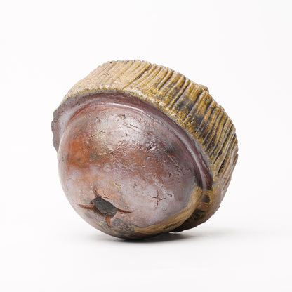 Ichiro Mori planter M Bizen Woodfired