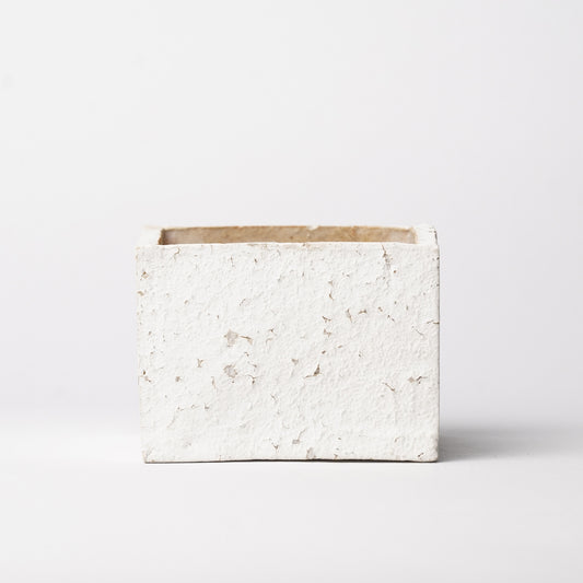 Hands of Mino Exhibition Tetsuya Hioki Box Cup