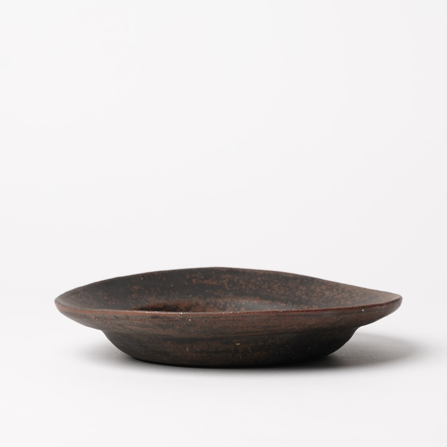 Hands of Mino Exhibition Norikazu Oe Rim Plate