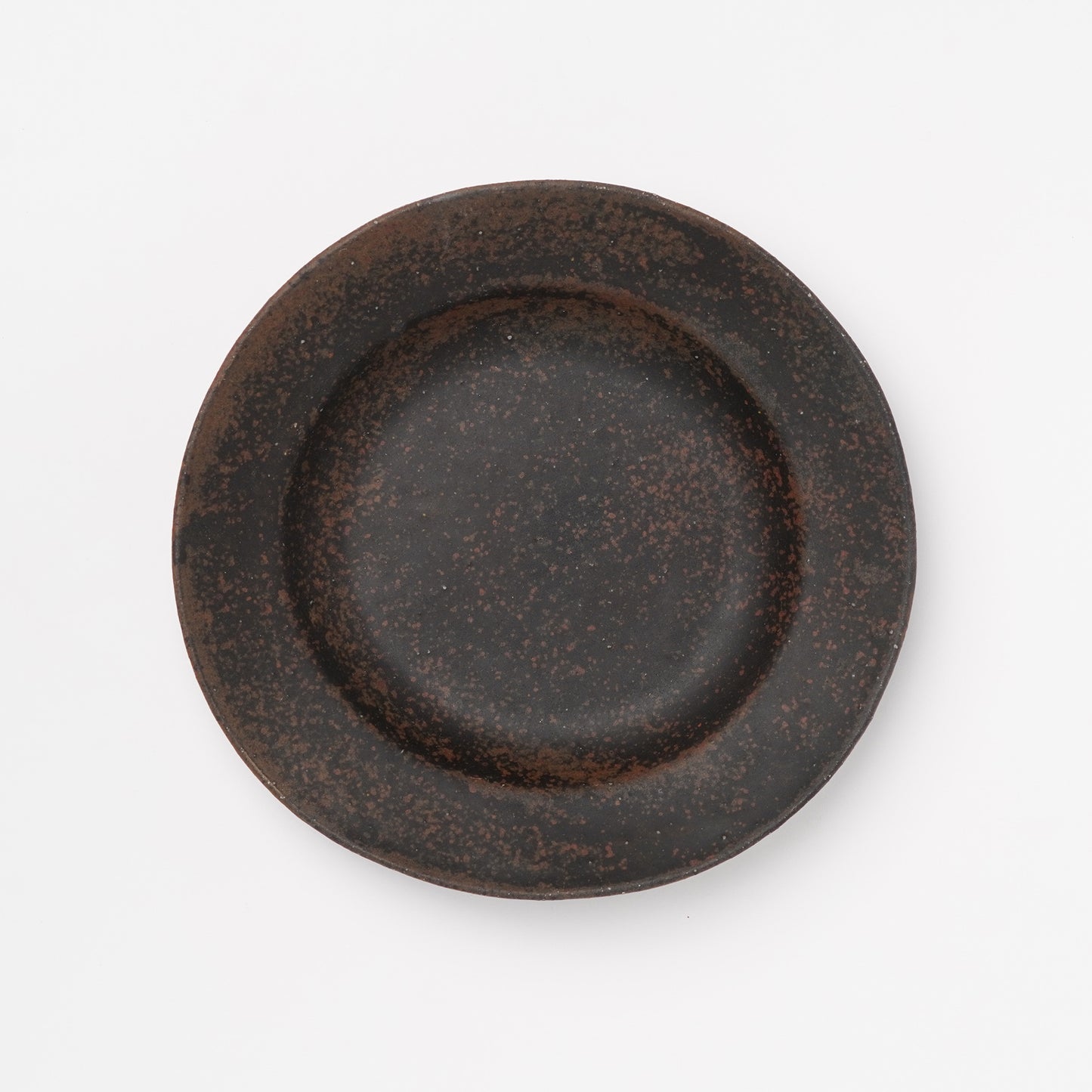 Hands of Mino Exhibition Norikazu Oe Rim Plate