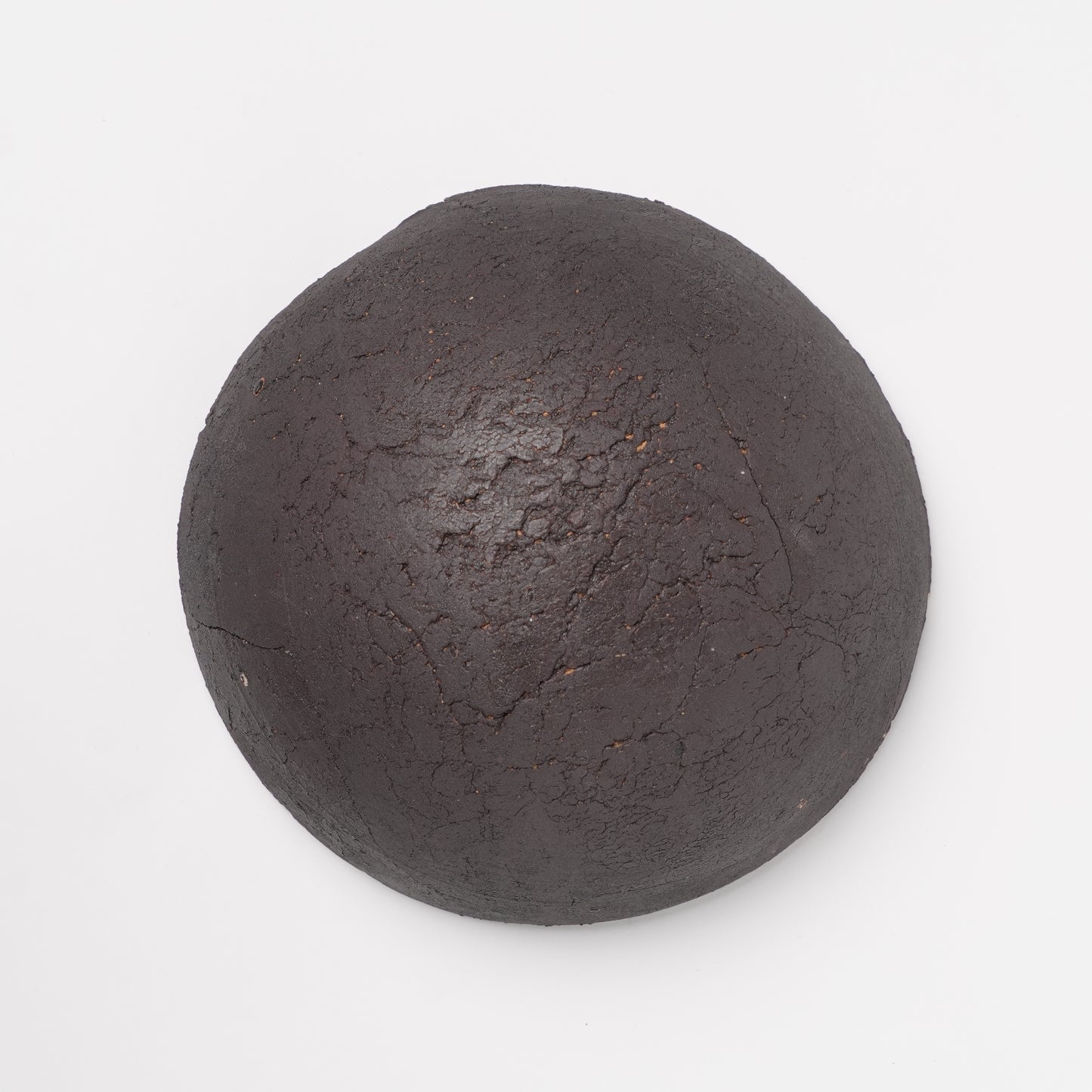 Hands of Mino Exhibition Tetsuya Hioki Wall Object