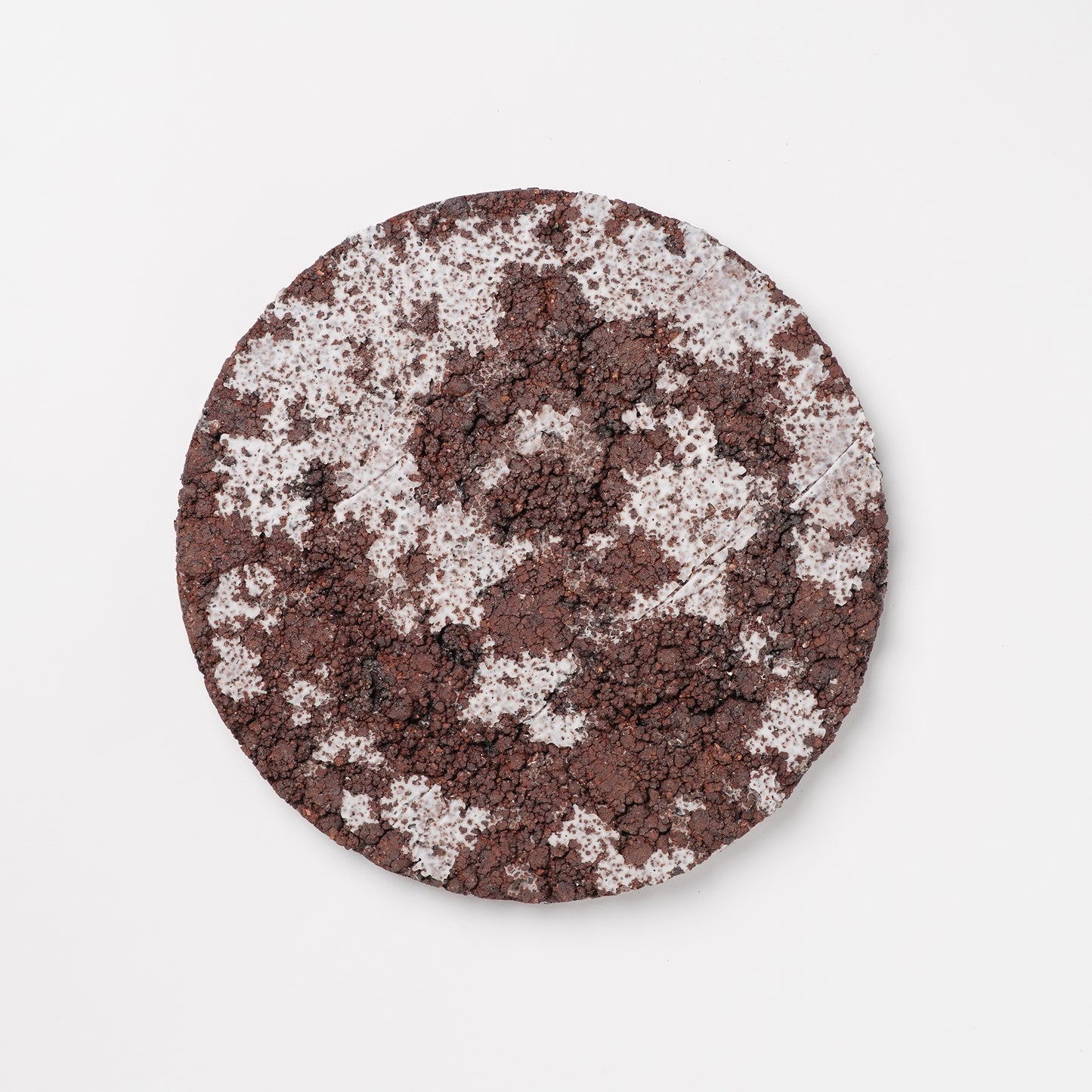 Hands of Mino Exhibition Yoichi Shiraishi Display Plate