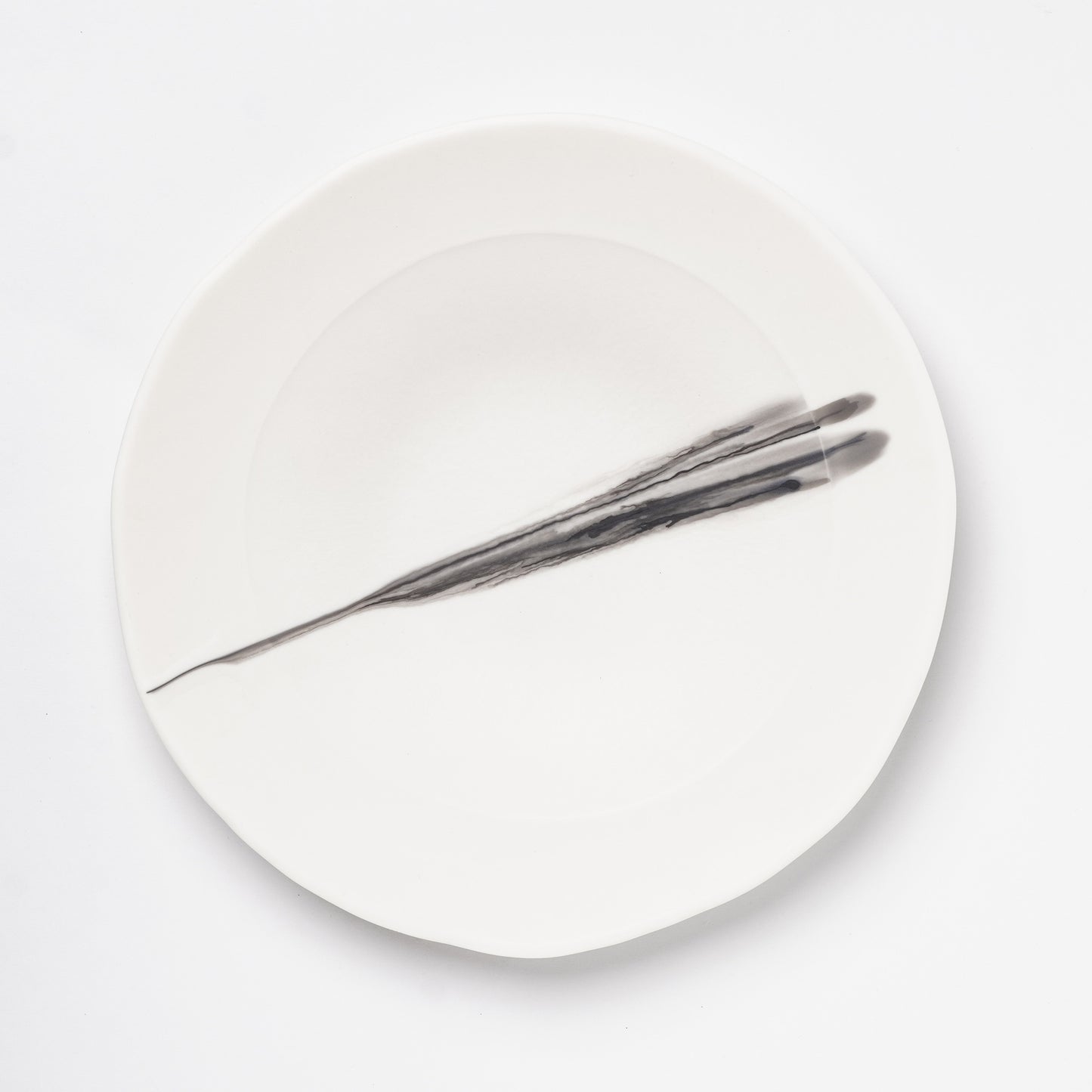 Hands of Mino Exhibition Yoichi Shiraishi Pasta Plate