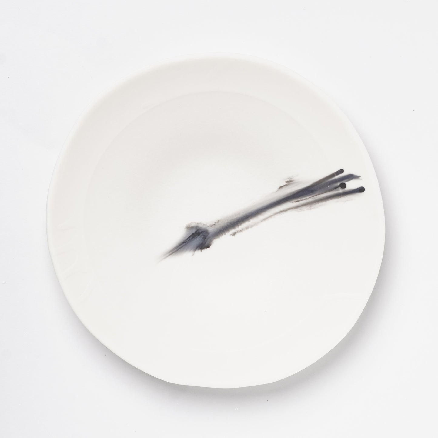 Hands of Mino Exhibition Yoichi Shiraishi Pasta Plate