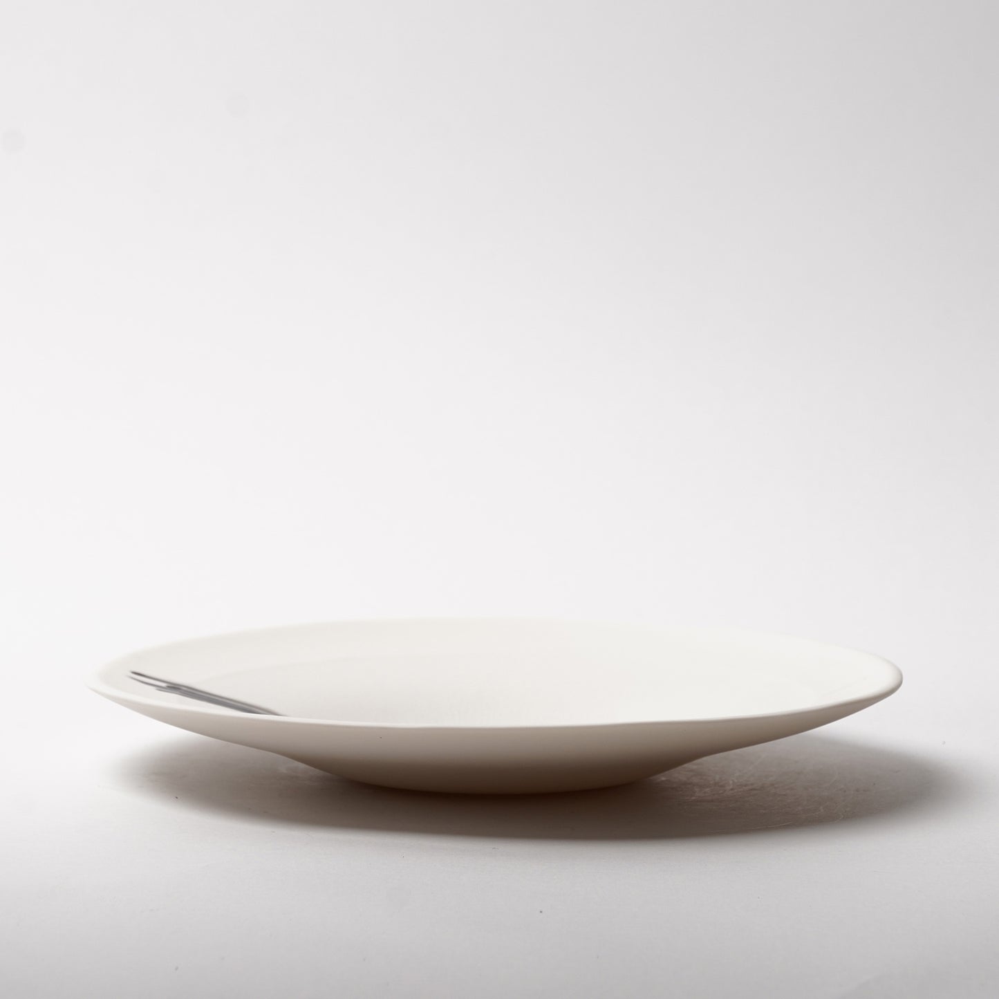 Hands of Mino Exhibition Yoichi Shiraishi Pasta Plate