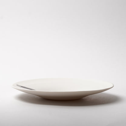 Hands of Mino Exhibition Yoichi Shiraishi Pasta Plate