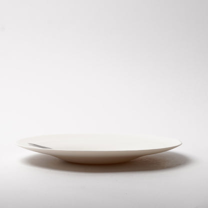 Hands of Mino Exhibition Yoichi Shiraishi Pasta Plate