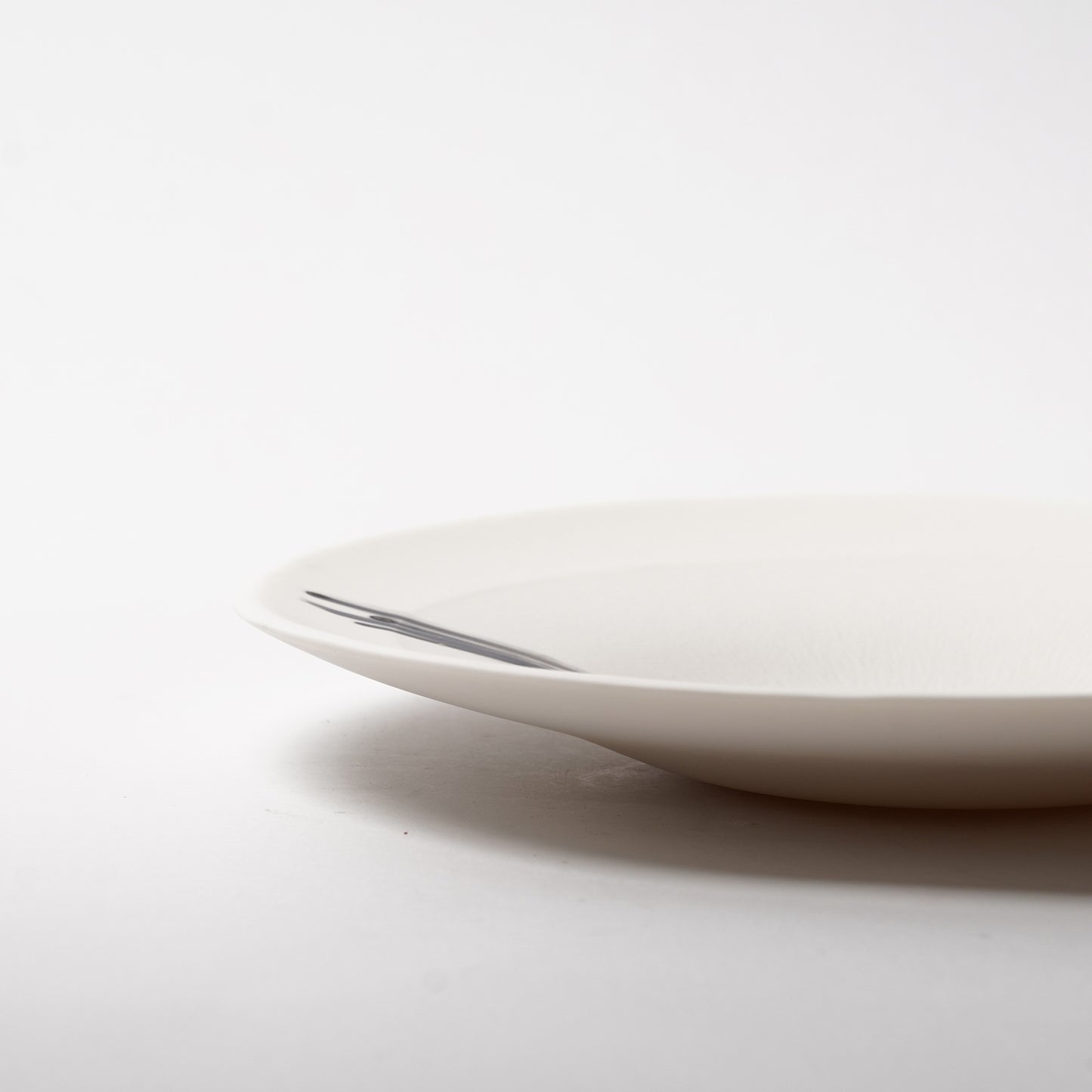 Hands of Mino Exhibition Yoichi Shiraishi Pasta Plate