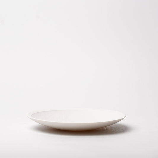 Hands of Mino Exhibition Yoichi Shiraishi Shallow Bowl