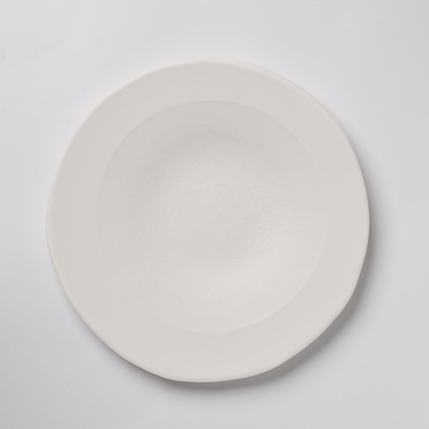 Hands of Mino Exhibition Yoichi Shiraishi Pasta Plate