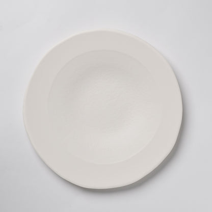 Hands of Mino Exhibition Yoichi Shiraishi Pasta Plate