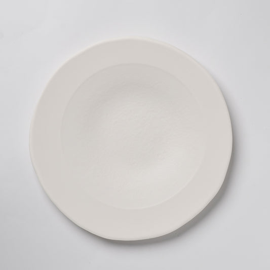 Hands of Mino Exhibition Yoichi Shiraishi Pasta Plate