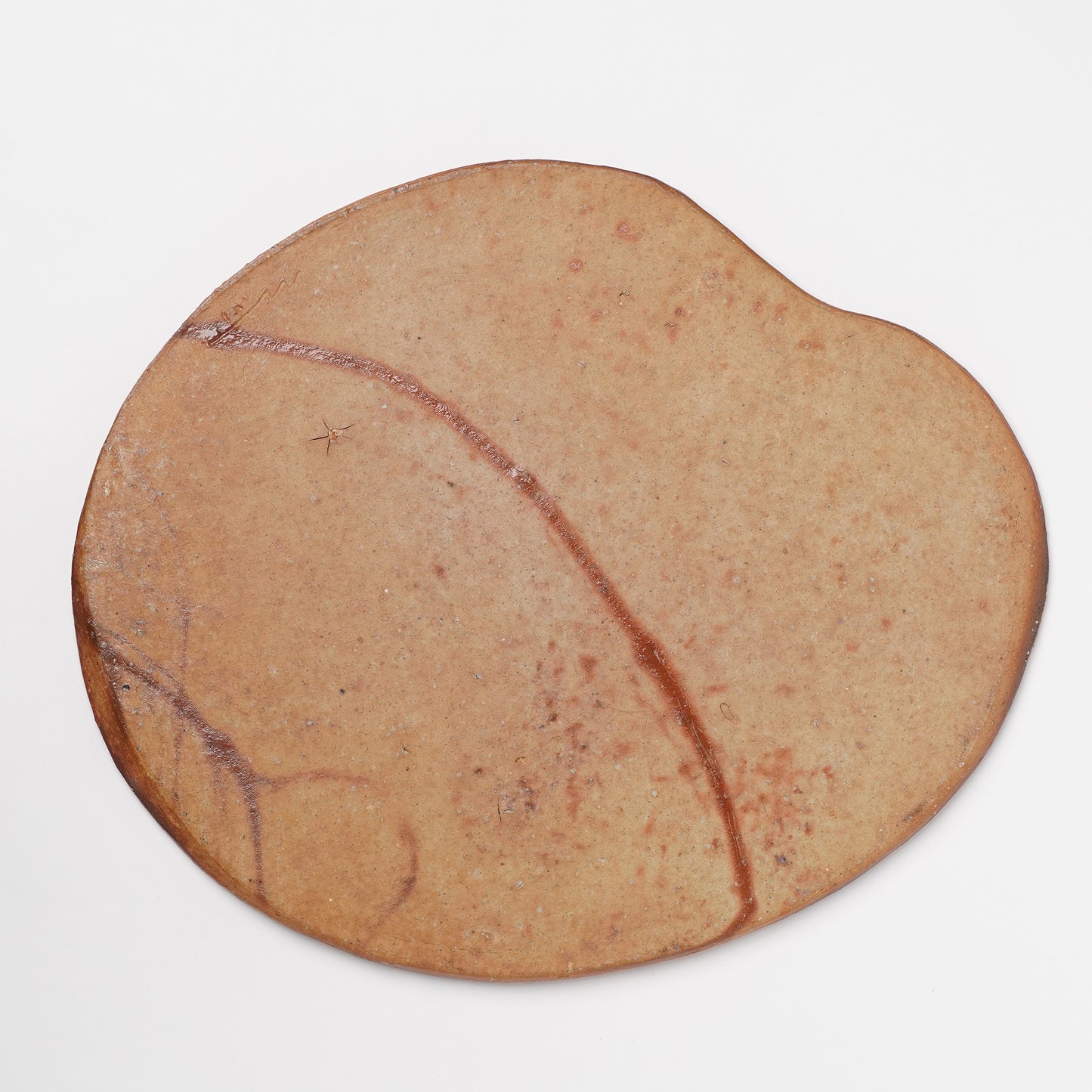 Ichiro Mori Large Plate Bizen Woodfired