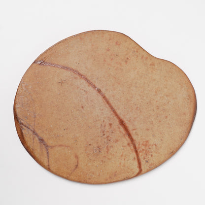 Ichiro Mori Large Plate Bizen Woodfired