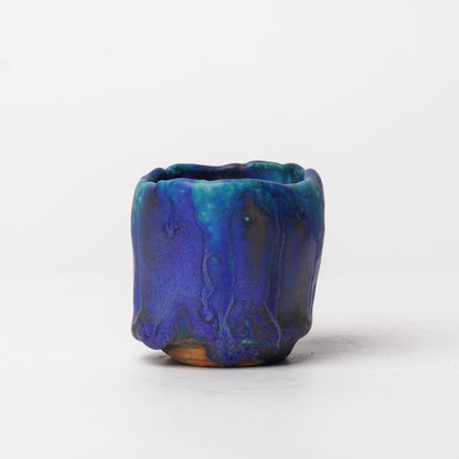 Nobuyuki Hagiwara Guinomi Sake Cup