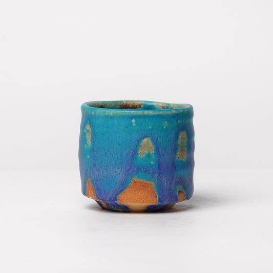 Nobuyuki Hagiwara Guinomi Sake Cup