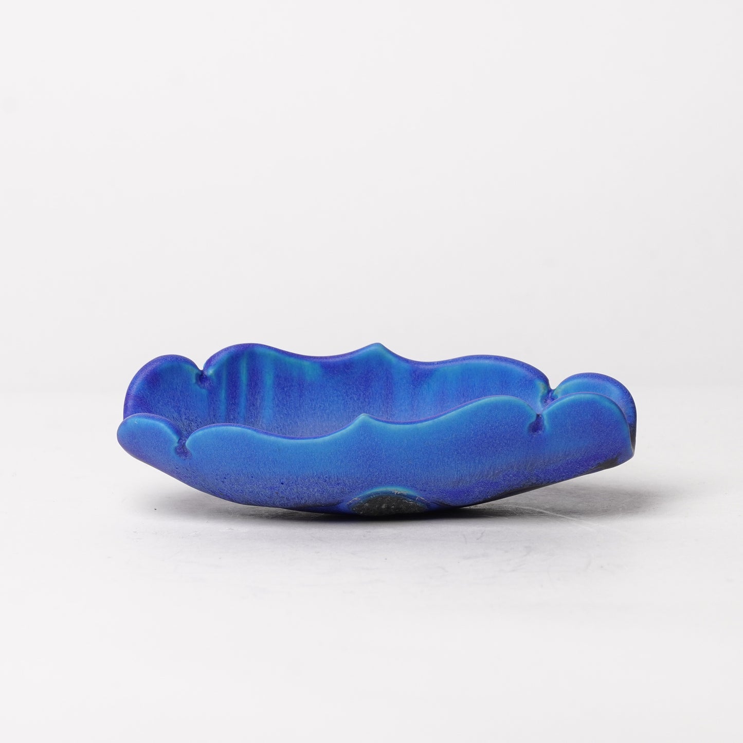 Nobuyuki Hagiwara Tea Scoop